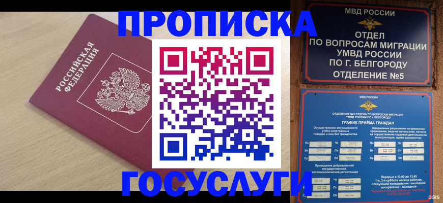 прописка законно в Алексеевке